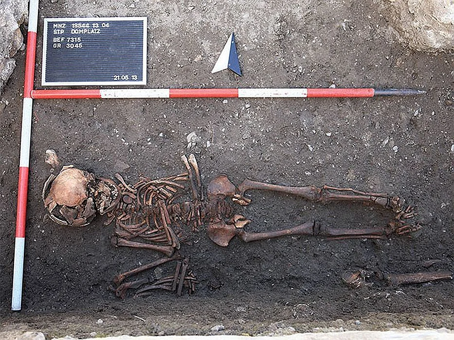 polten skeleton