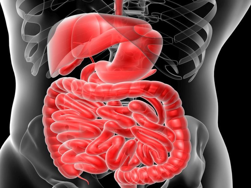 Gut Microbiome May Play Role in Irritable Bowel Syndrome