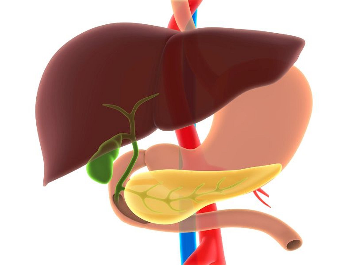 News Picture: Know the Signs of Rare But Deadly Gall Bladder, Bile Duct Cancers