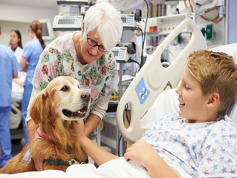 therapy dog and patient