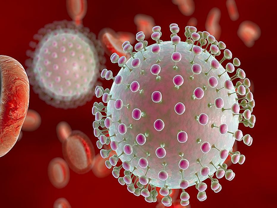 microscopic view of zika virus