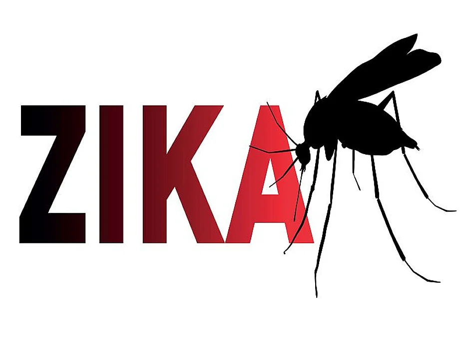 zika virus