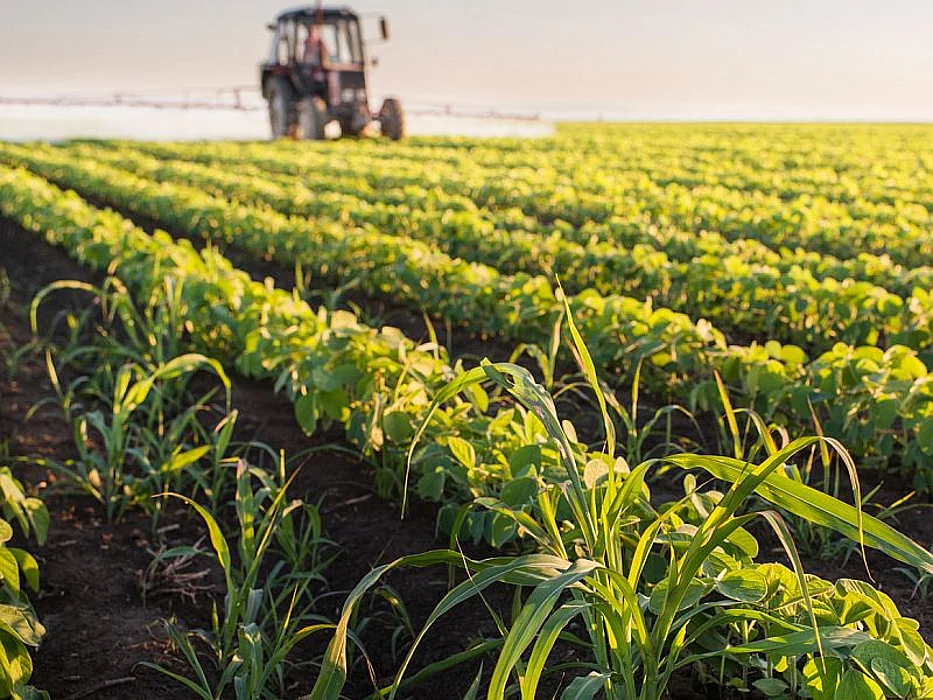 farm crops