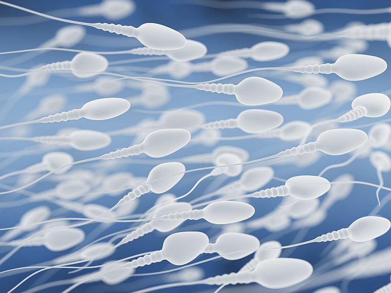 News Picture: Could Semen Hold Key to New Over-the-Counter Contraceptive?