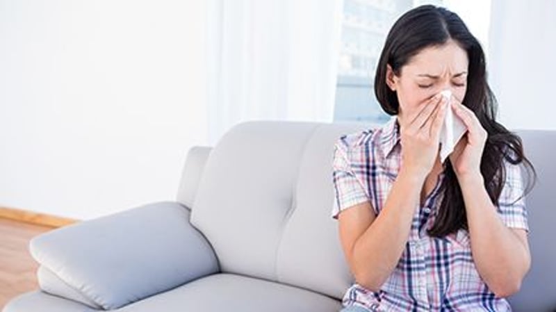 Cold vs. Allergies: Which Do You Have? Here's How to Tell the Difference