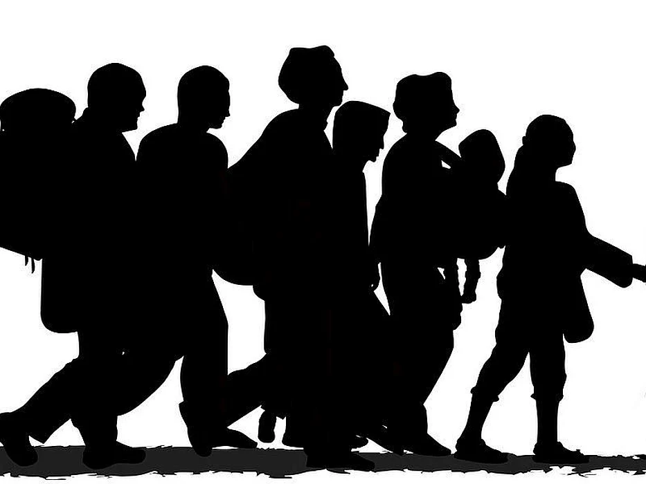 refugees
