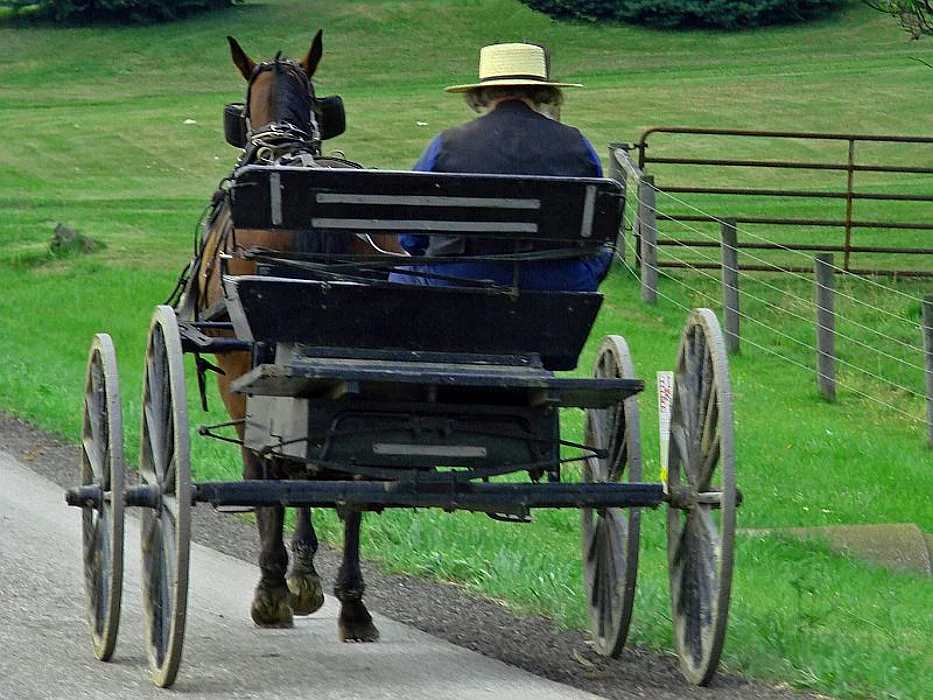amish
