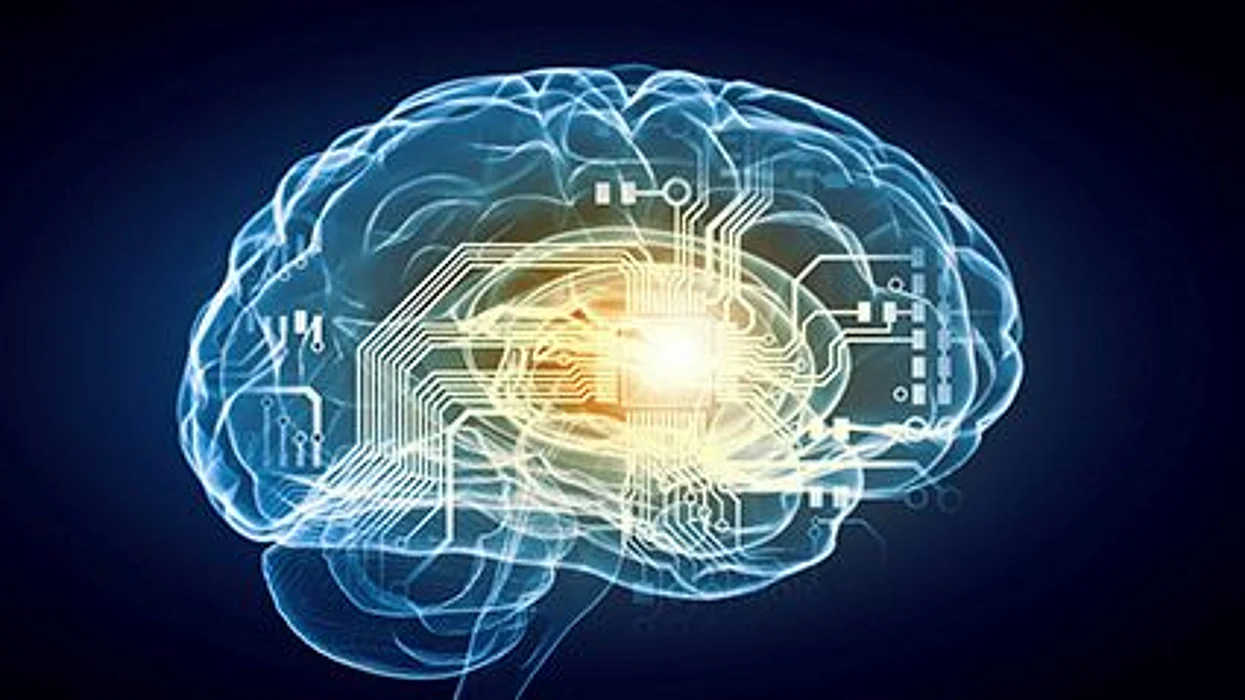 brain