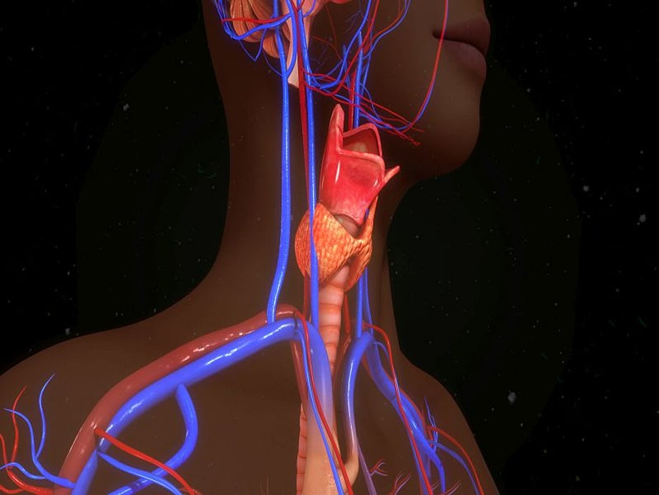 larynx