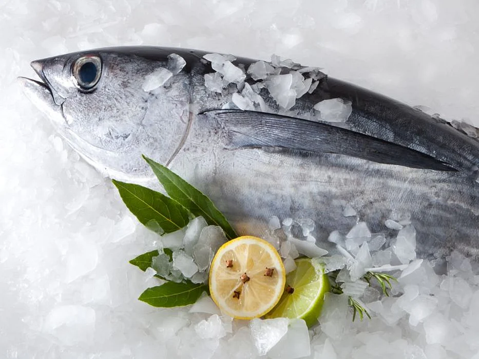tuna