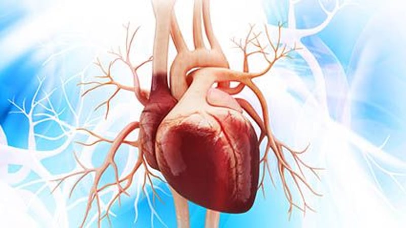 Imagen de noticia: La inflamación cardíaca a largo plazo afecta a 1 de cada 8 pacientes hospitalizados con COVID