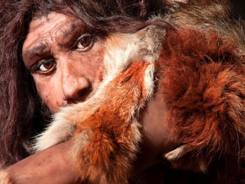 Neanderthal Poop Provides Clues to  Modern Humans' 'Microbiome'