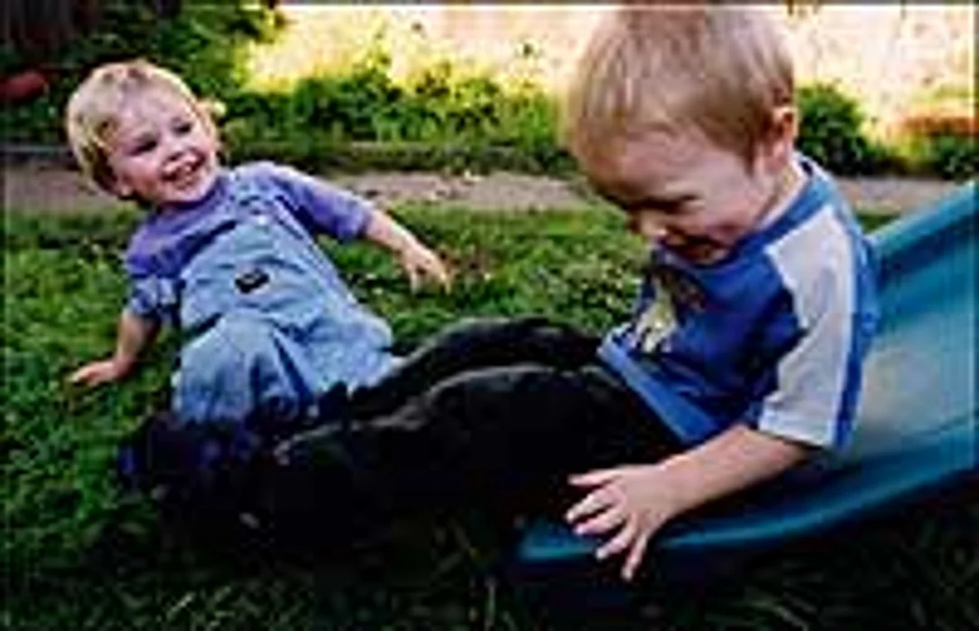 Homeowners Insurance