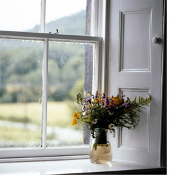 Why You Need a Home Inventory