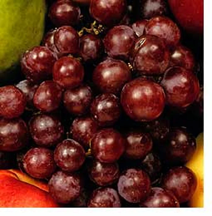 Can You Buy Enough Fruits and Veggies for $61 a Week? The USDA Thinks You Can