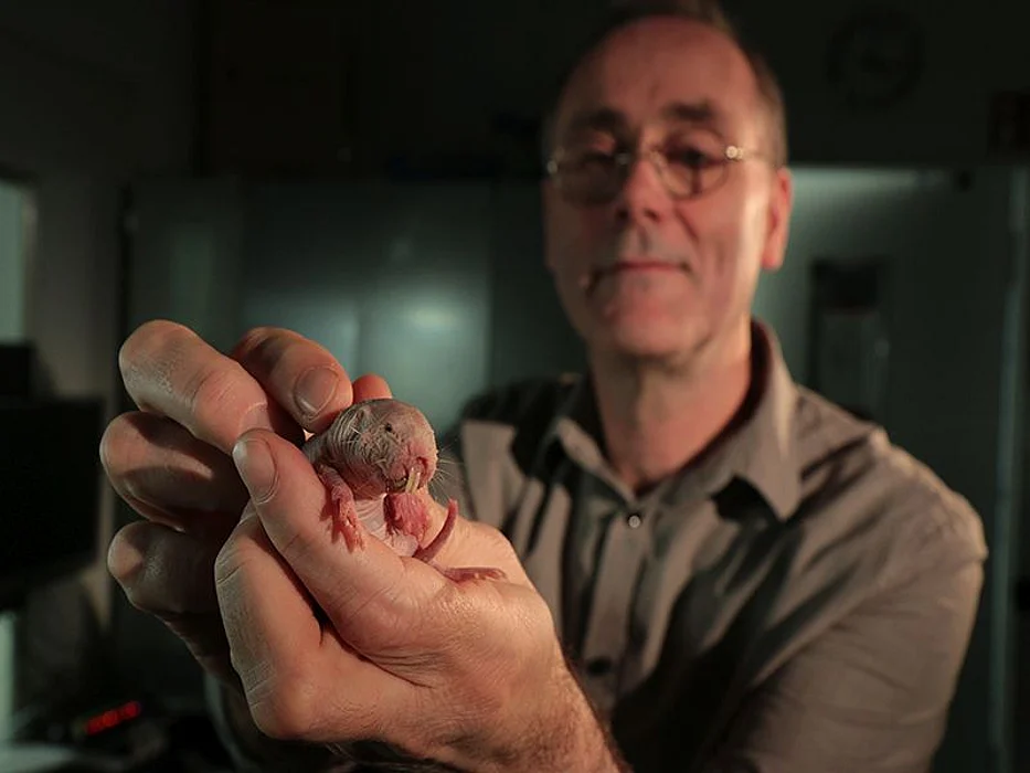 Gary Lewin with naked mole-rat