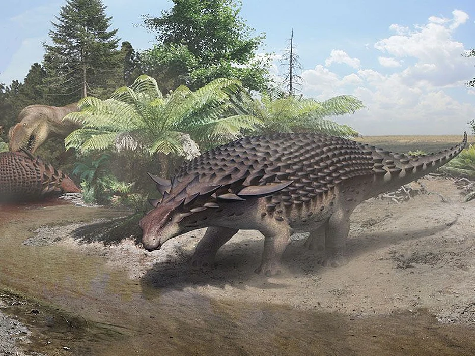 dinosaurs