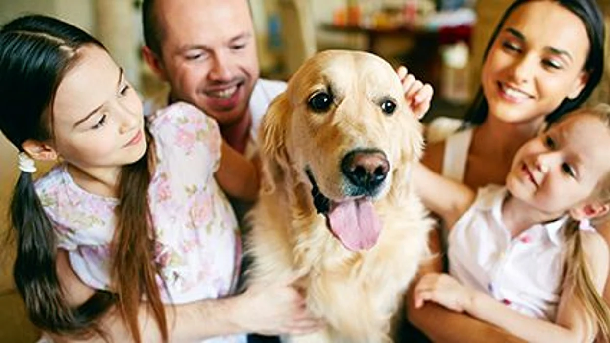 pet