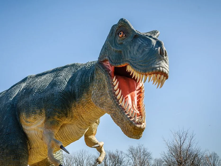 trex