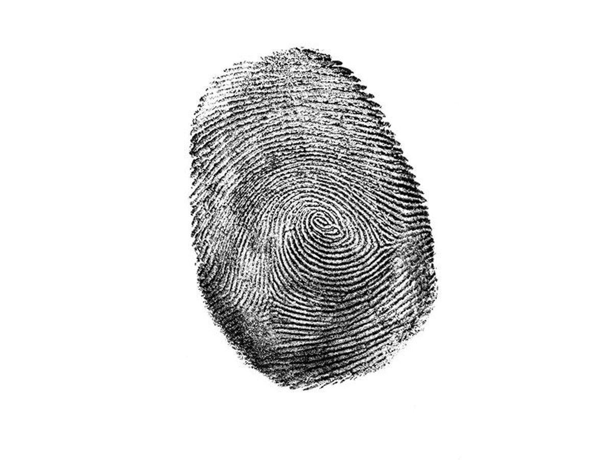 Fingerprint drawing hires stock photography and images  Alamy