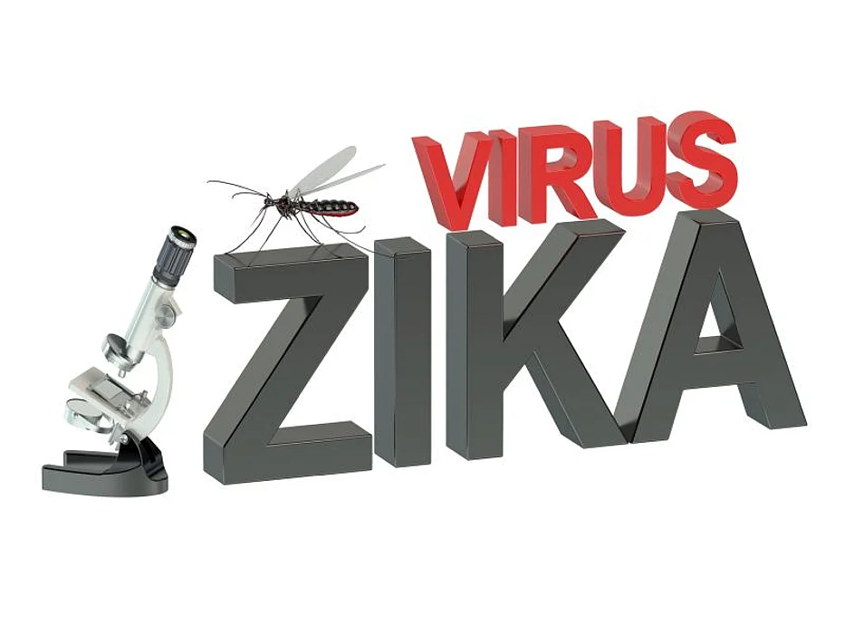 zika virus
