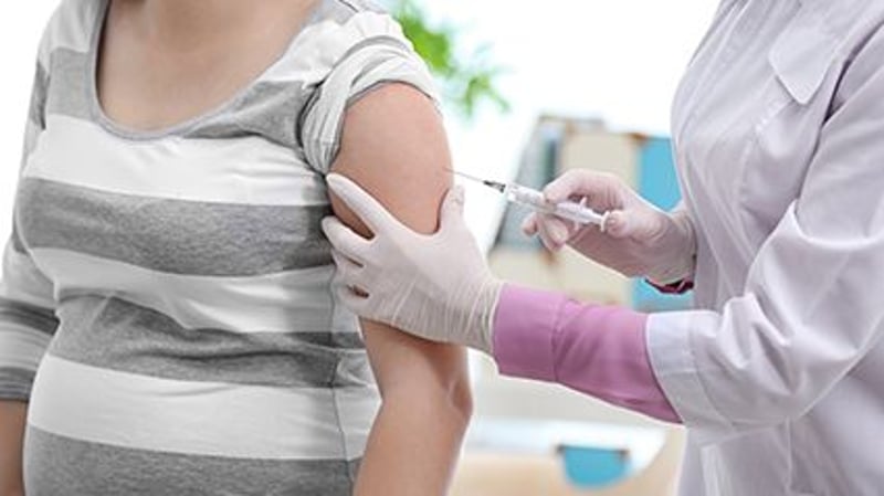Debunking Social Media Myth, Study Finds COVID Vaccine Won't Harm Placenta