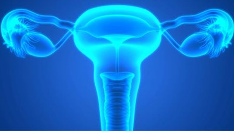 New Clues to How Ovarian Cancer Begins