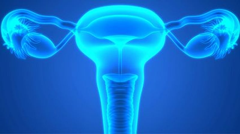 New Clues to How Ovarian Cancer Begins