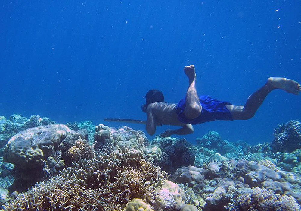 diver