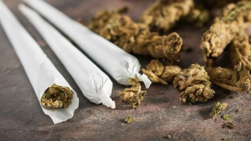 Legalized Pot Tied to Rise in Young Men's Suicide Attempts