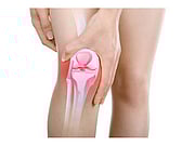 Une vitamine pourrait jouer un rôle essentiel quant...