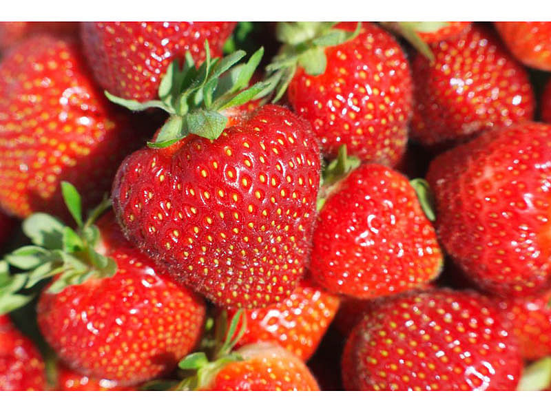 Strawberries Linked to Hepatitis Outbreak, FDA Warns