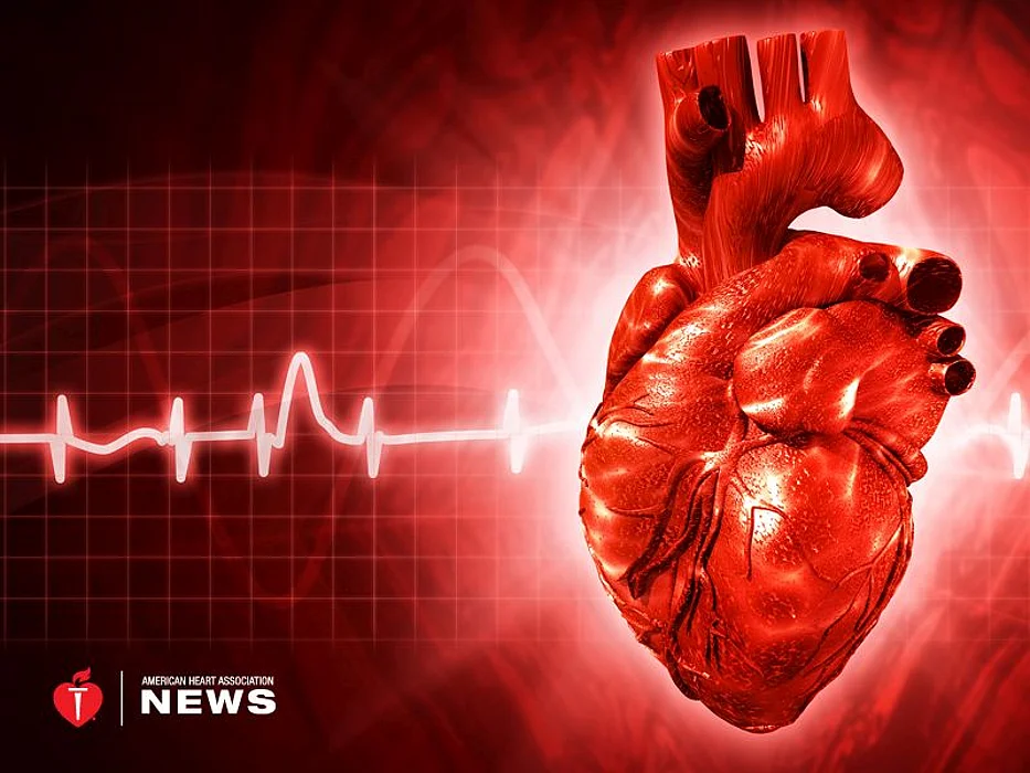 heart and ekg