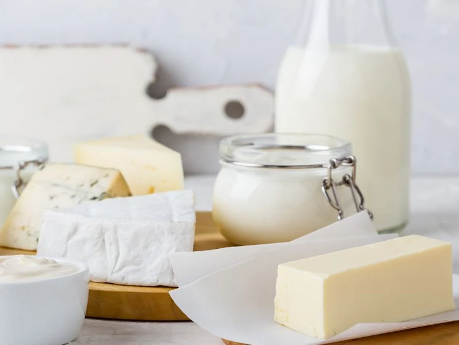 dairy products