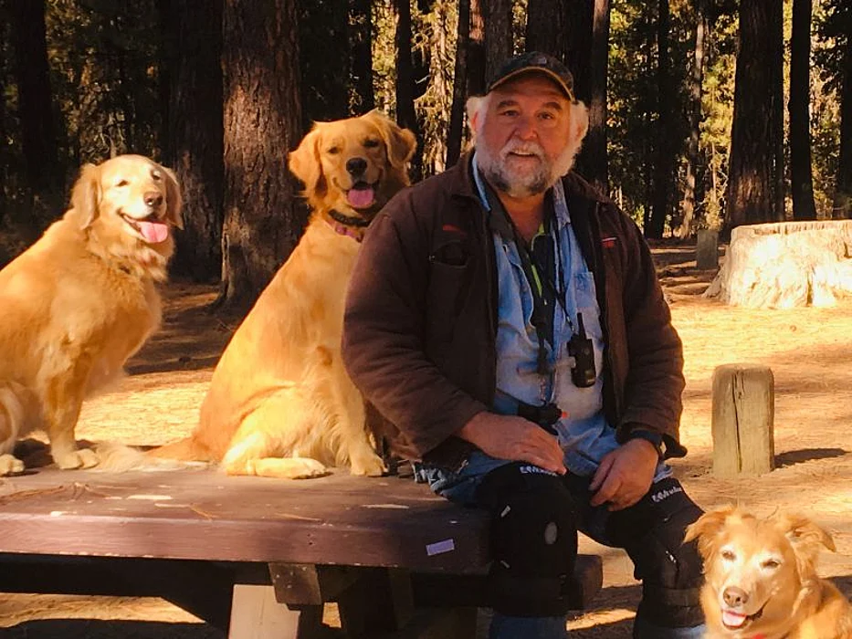 man and dogs