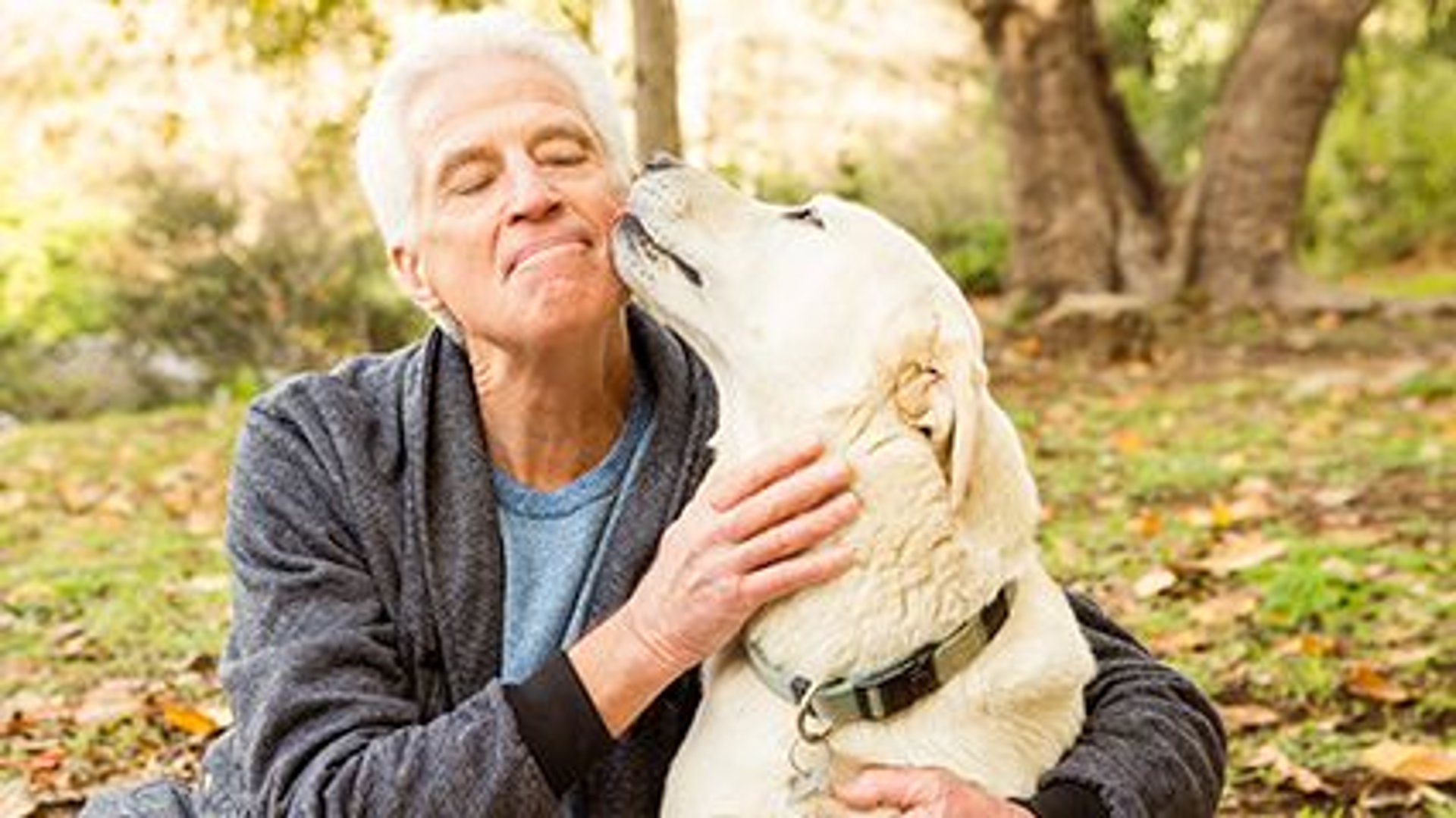 Dogs and Their Humans Share Same Diabetes Risk: Study thumbnail