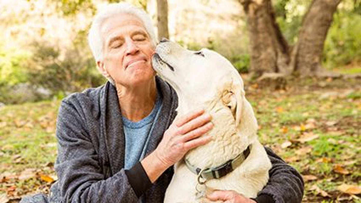 News Picture: Dogs and Their Humans Share Same Diabetes Risk: Study