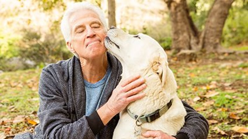 Dogs and Their Humans Share Same Diabetes Risk: Study