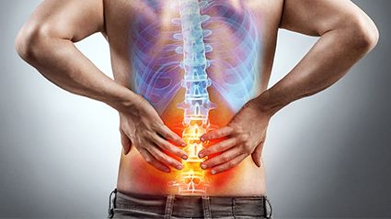 Which Exercise Regimen Works Best to Ease Lower Back Pain?