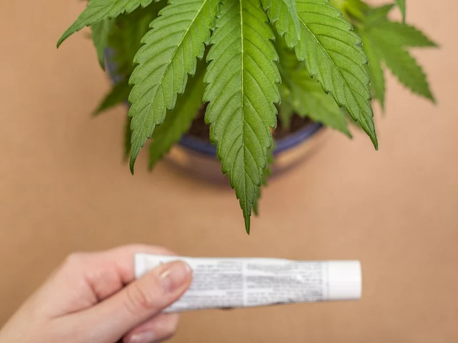 CBD cream