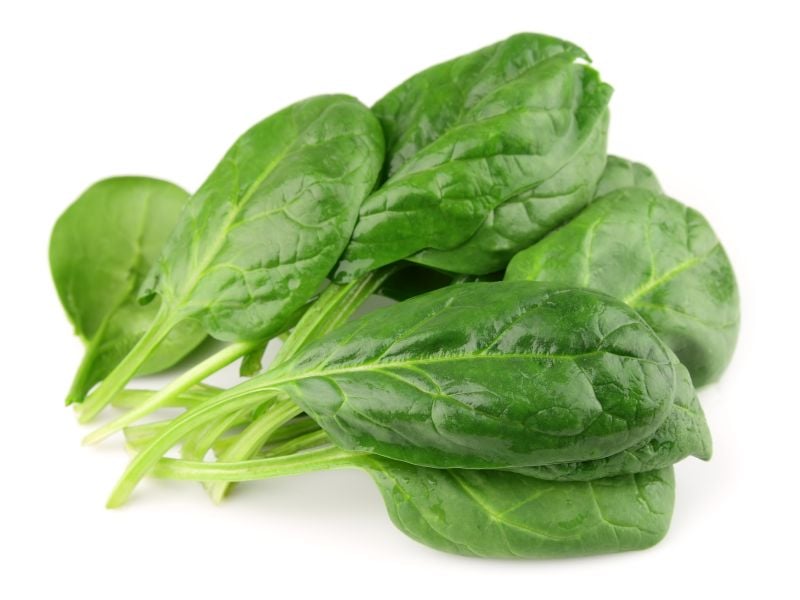 Want More Muscle? Go for the Greens