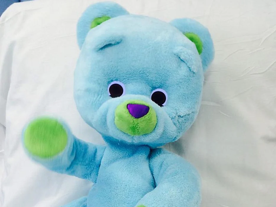 Huggable the bear