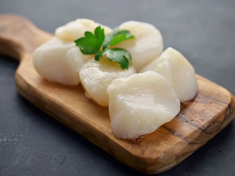 scallops