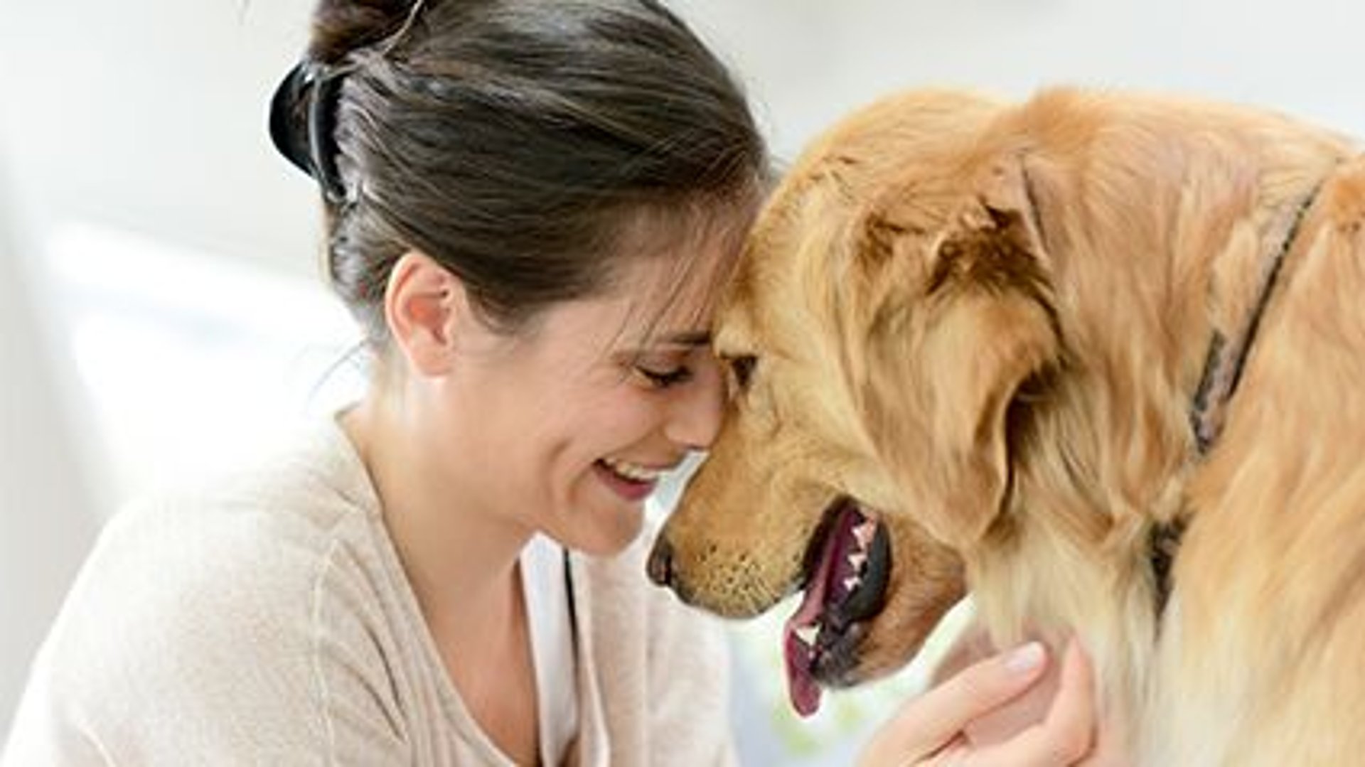 Your Dog May Not Understand Every Word You Say: Study thumbnail