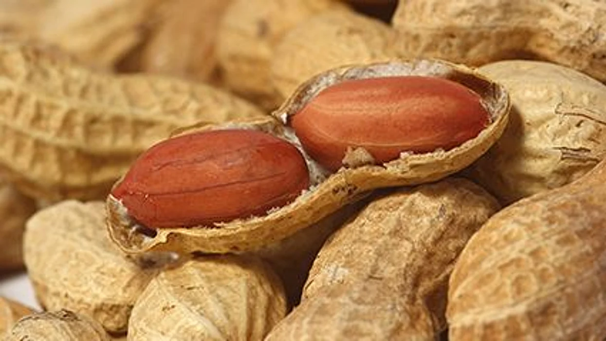 peanuts