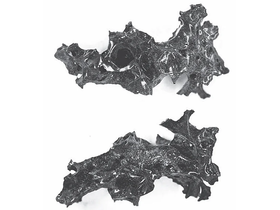 Vitrified brain tissue from Herculaneum Image copyright: NEJM 2020