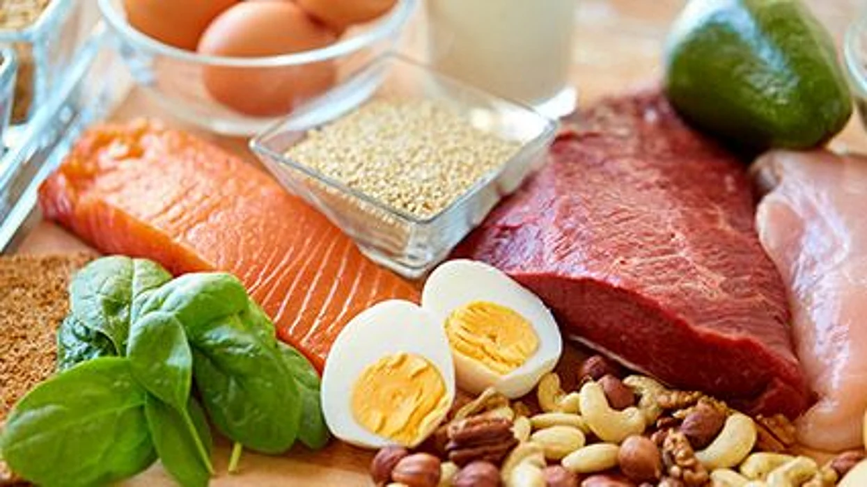 high protein food