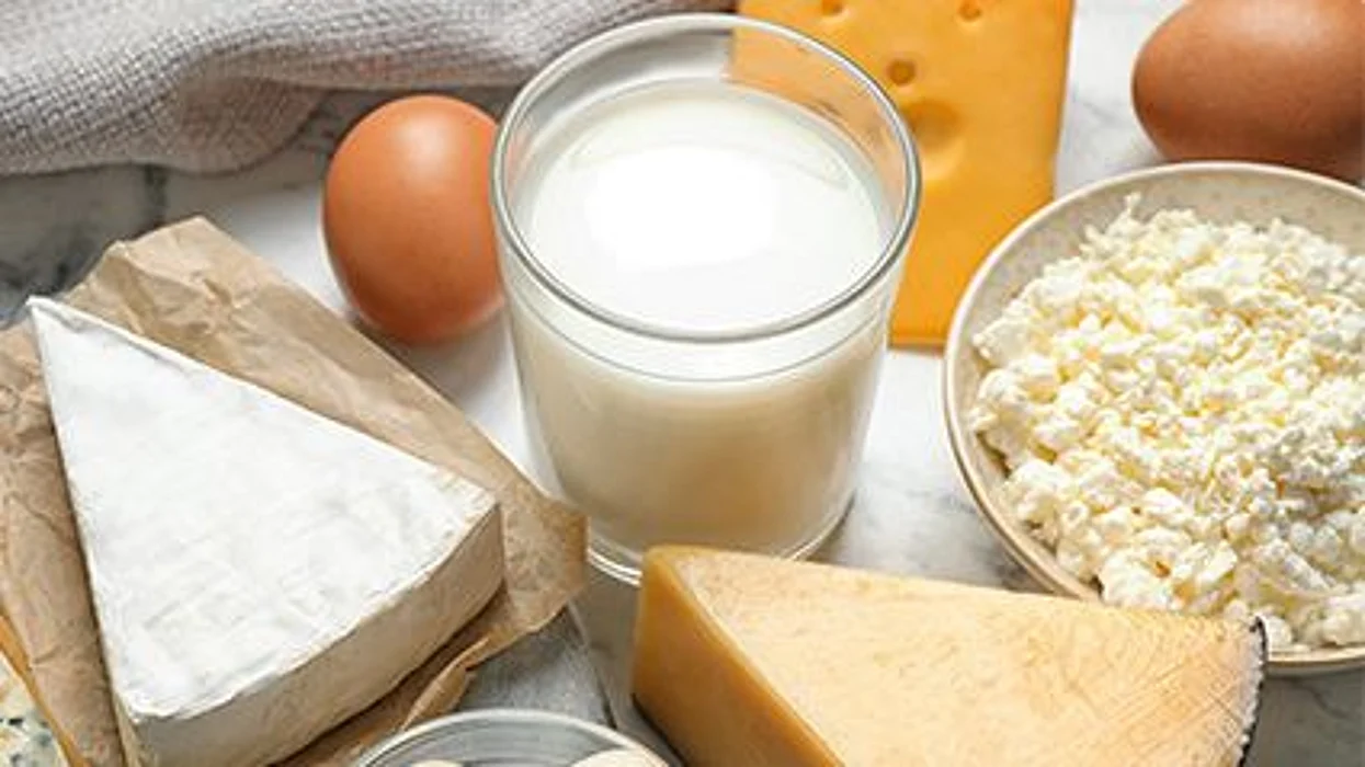 foods from different food groups