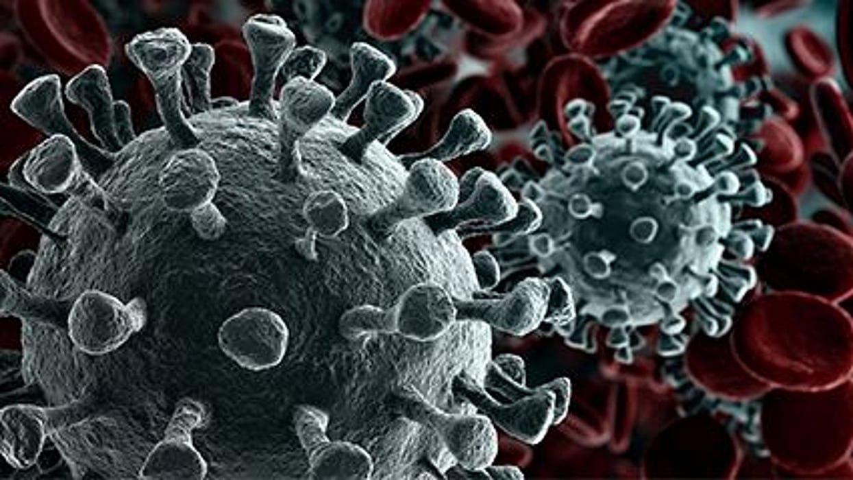 coronavirus