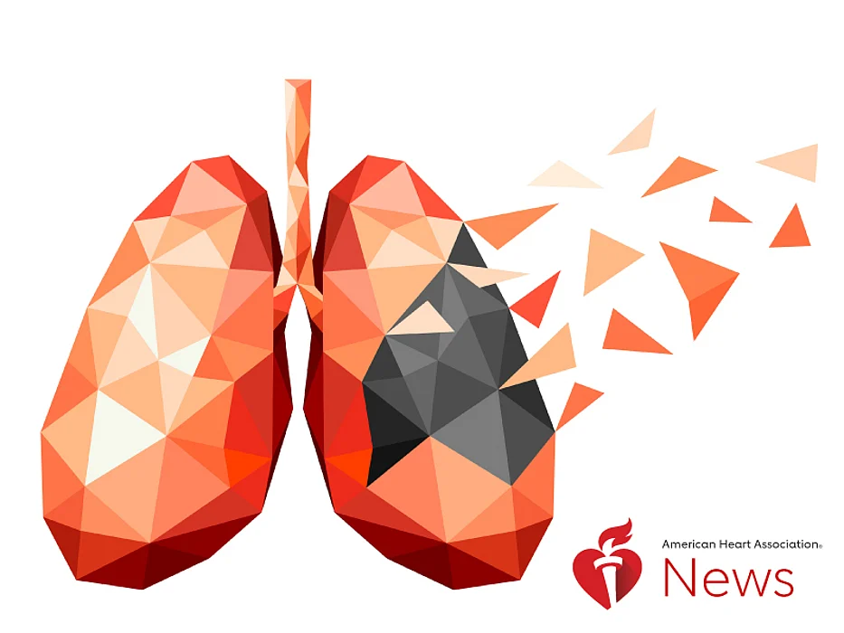 lungs